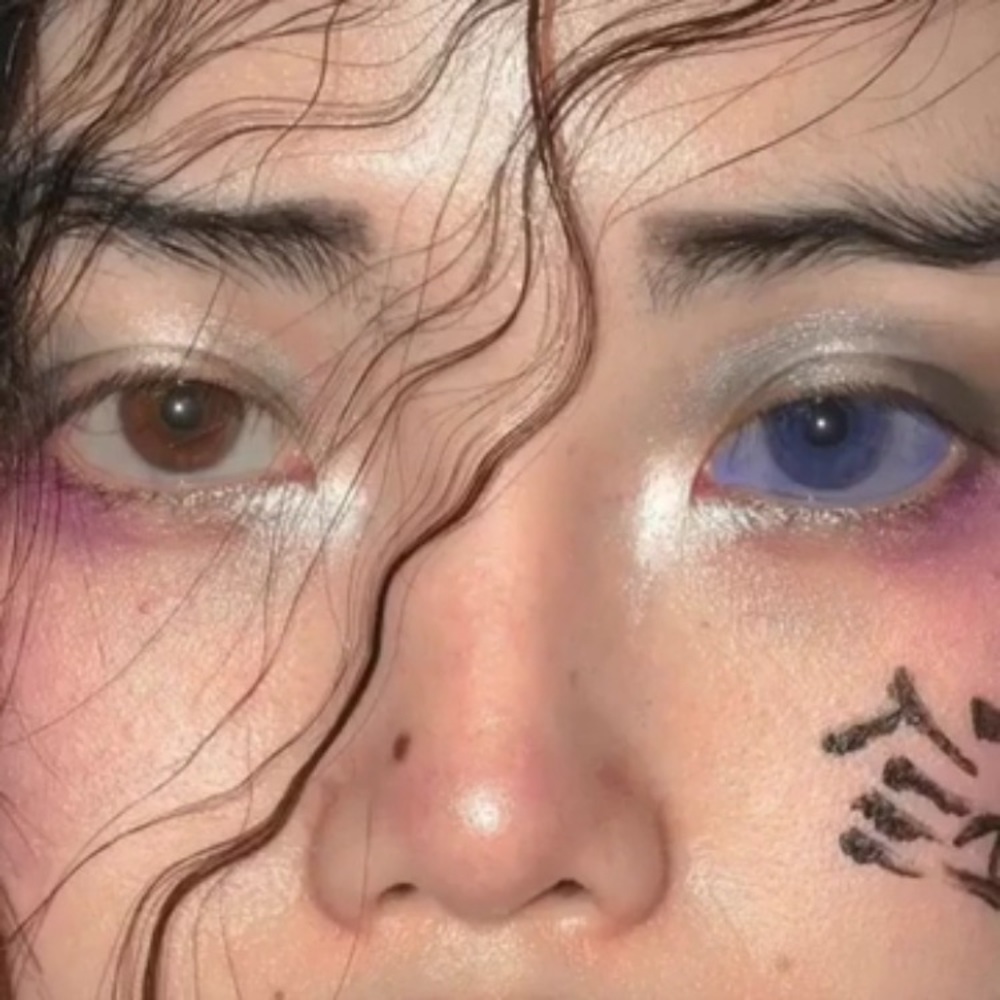 Meet your Posher, Koda